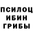 Псилоцибиновые грибы Psilocybe Alexandra Kosyh
