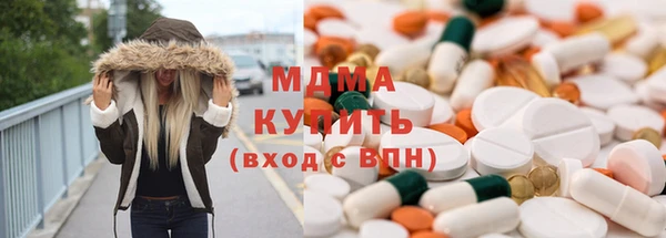 индика Алексин