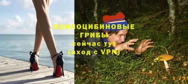 индика Алексин