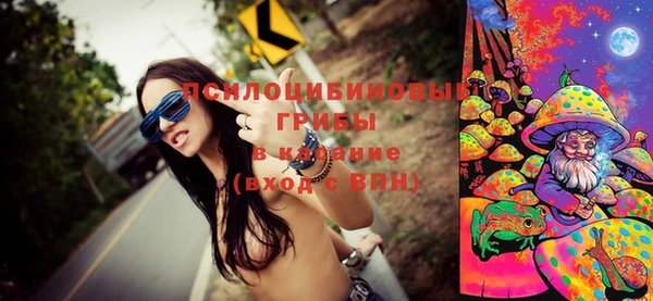 индика Алексин
