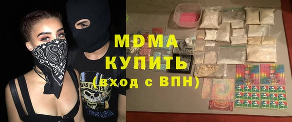 индика Алексин
