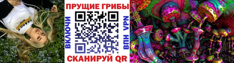 Галлюциногенные грибы Cubensis  Купить закладки  Истра 