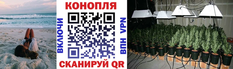 Канабис план  Купить закладки  Истра 